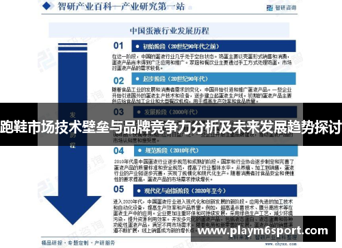 跑鞋市场技术壁垒与品牌竞争力分析及未来发展趋势探讨